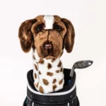 Short haired pointer head cover